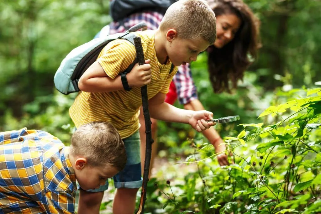 post-Family Friendly Hiking Trails: The Ultimate Guide to Safe and Fun Adventures with Kids