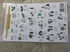 post-Trees of Yosemite and Beyond: Complete Guide to Sierra Nevada Forest Giants