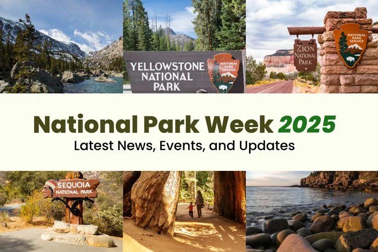 post-National Park Week Events 2025: Complete Guide to Activities, Free Entry & Celebration