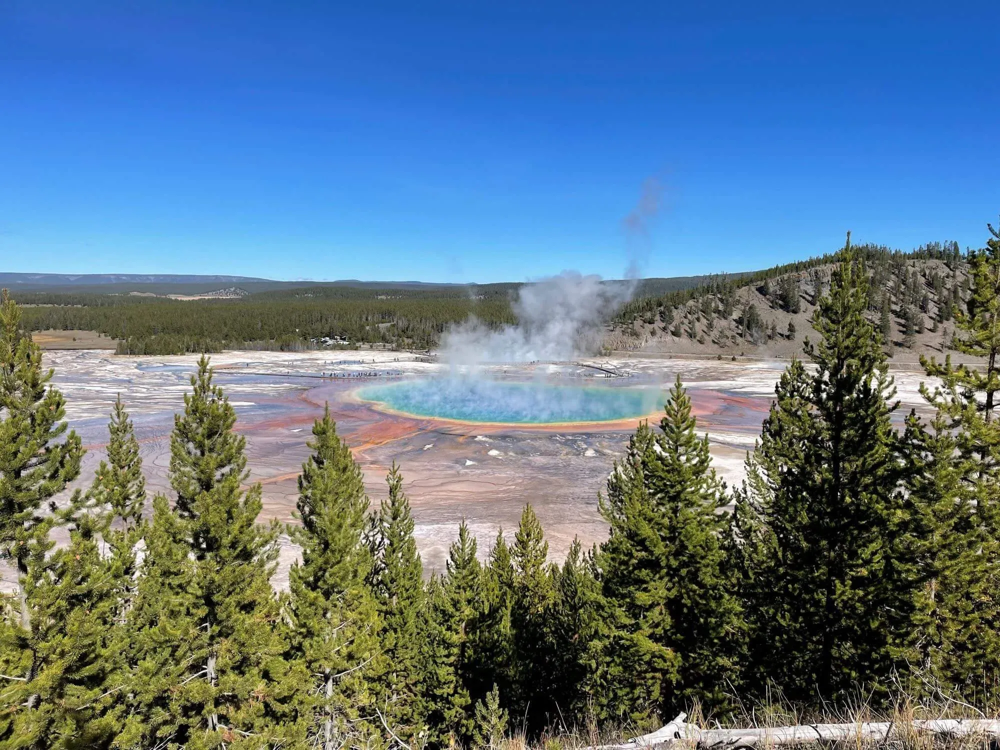 post-Worst Time to Visit Yellowstone: Insider's Guide to Avoiding Crowds & Weather Challenges
