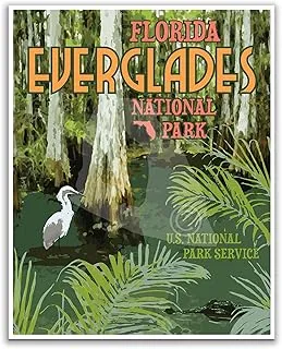 post-Everglades National Park: Florida's Magnificent Wetland Wilderness