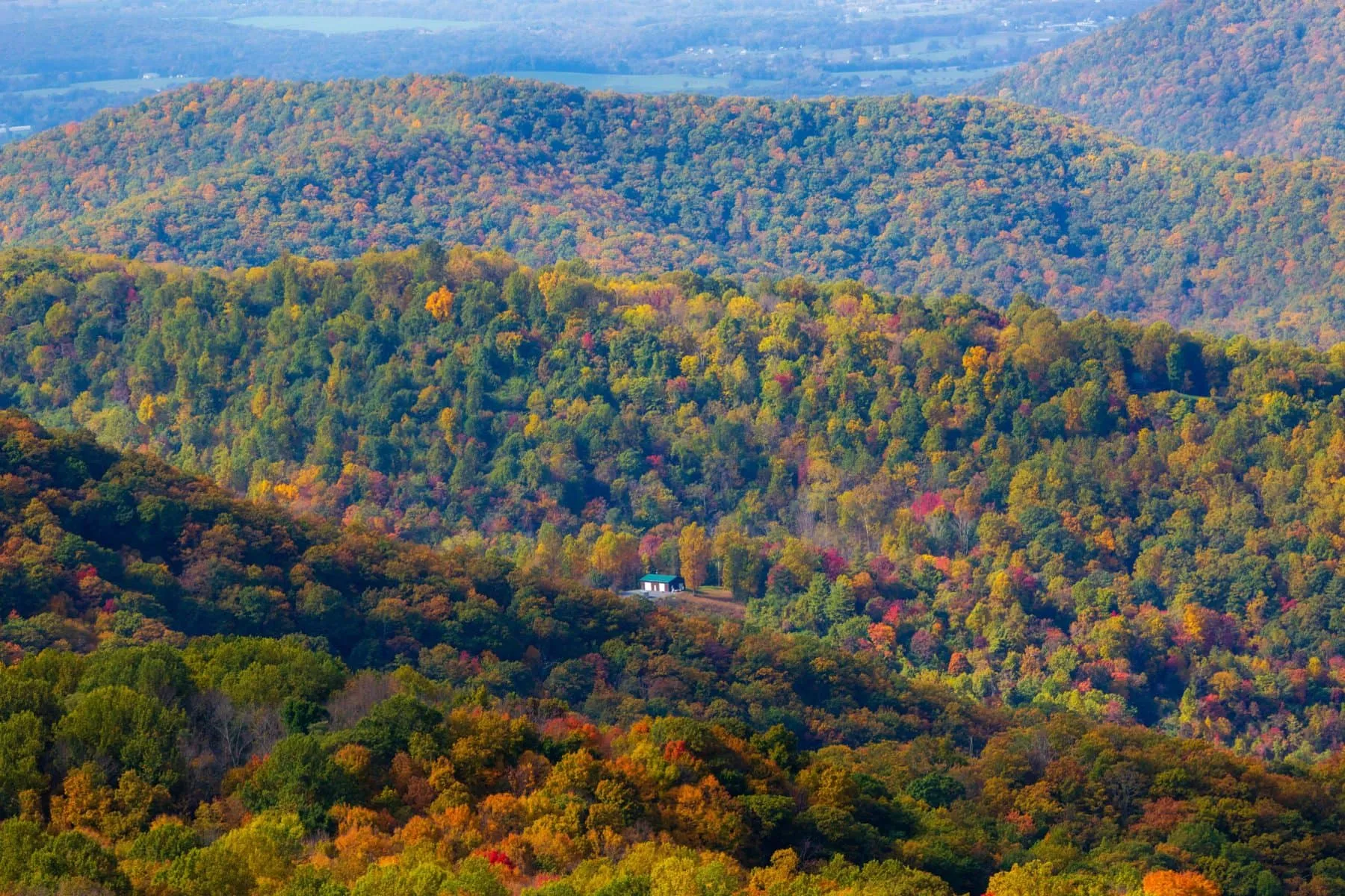 post-Yellowstone National Park in October: Complete Guide to Fall Colors, Wildlife & Weather