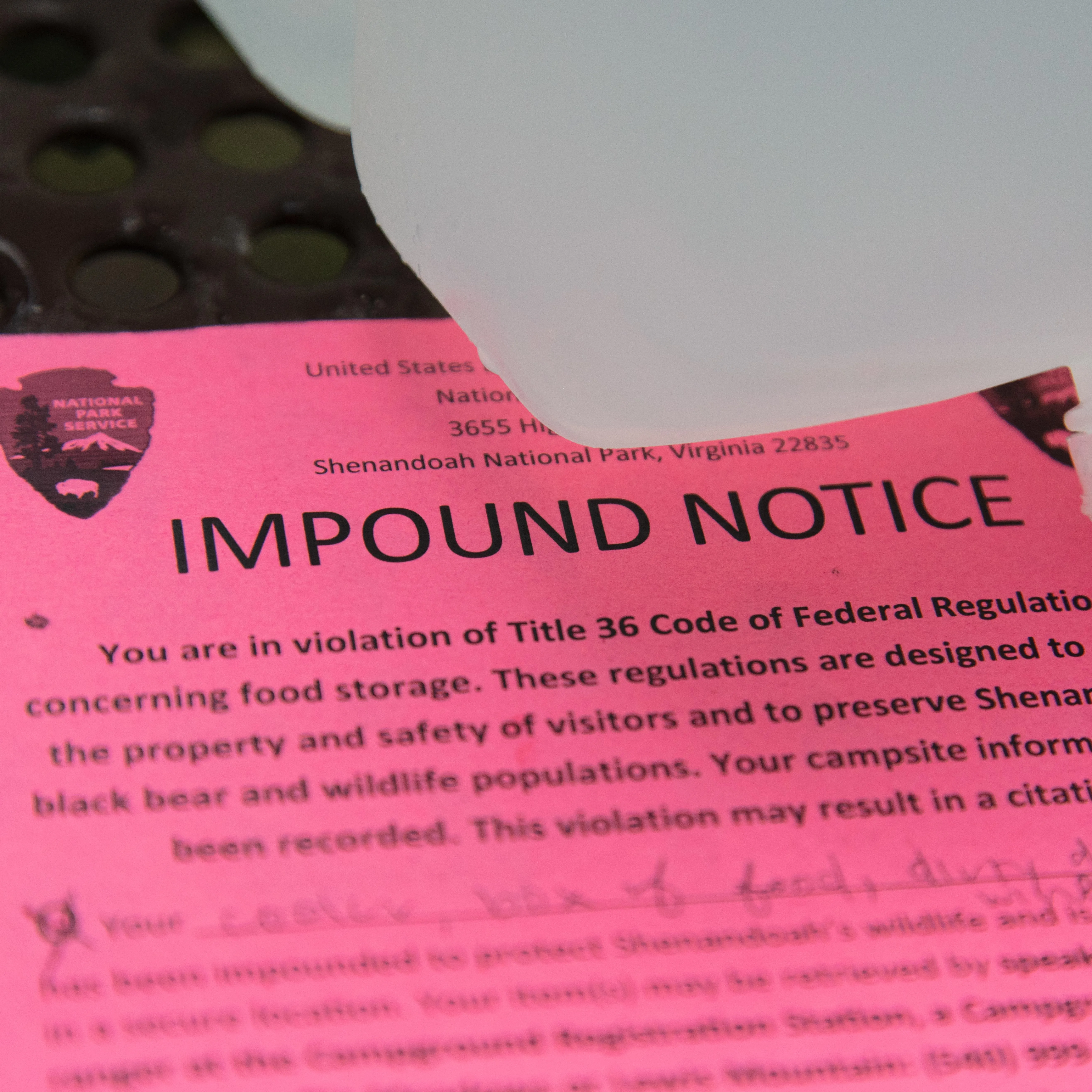 post-Family-Friendly Campgrounds in Shenandoah National Park: Ultimate Guide for 2025