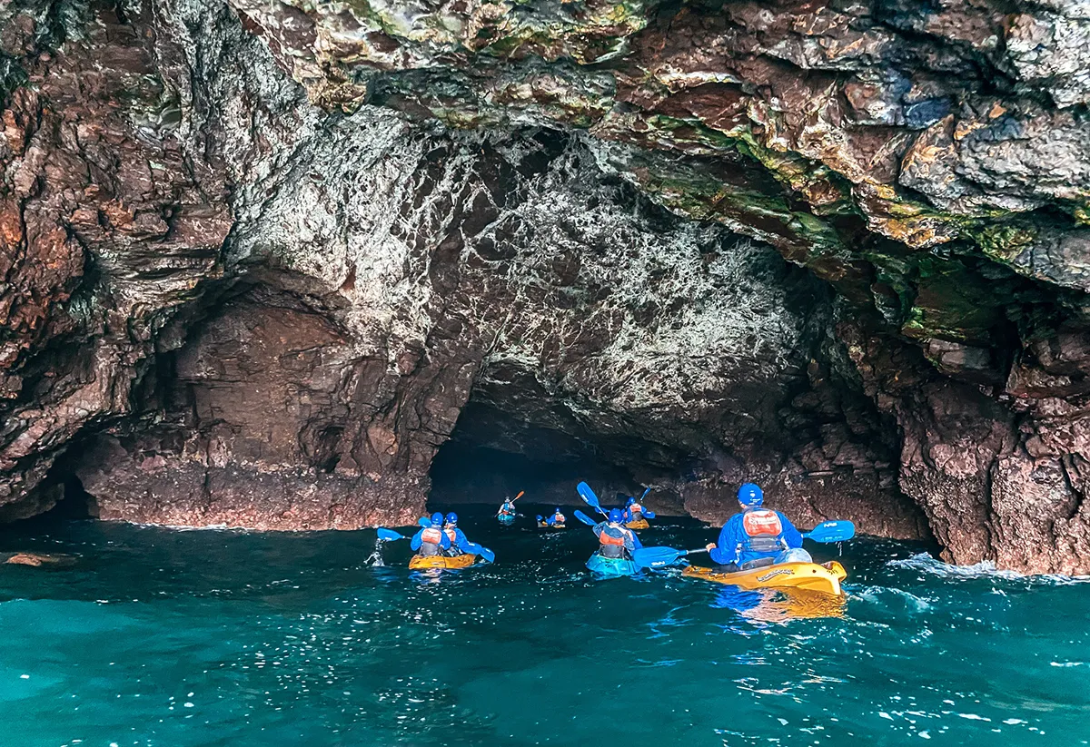 post-Channel Islands Kayaking Tours: Complete Guide to Sea Cave Adventures; Wildlife Encounters 2025